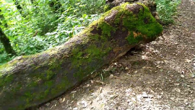 Водопад Кейву. Пешком с Красной Поляны.-
