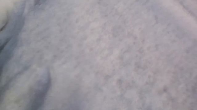 Влог храним птичку /1))) смотреть онлайн