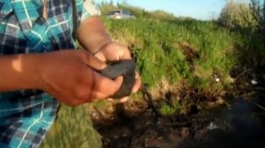 Метод длительного хранения червей для рыбалки