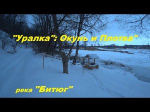 "Уралка": окунь и плотва", река "Битюг".