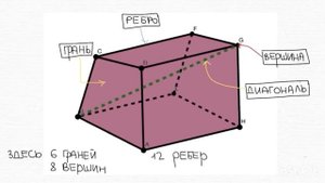 ВВЕДЕНИЕ В СТЕРЕОМЕТРИЮ // 10 класс // геометрия