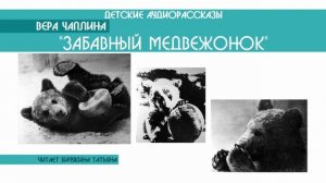 Вера Чаплина "Забавный медвежонок" - детский аудиорассказ: слушать онлайн