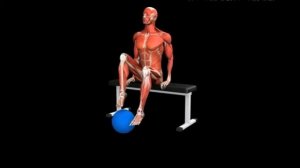Упражнение барабан для ног с медицинским мячом Medicine Ball Foot Drum