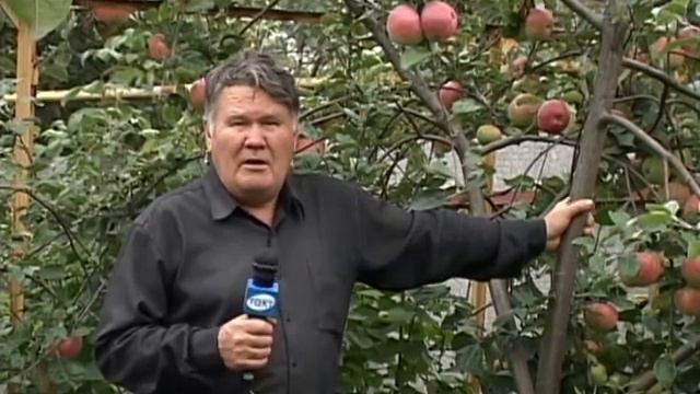 Валерий Панов: О применении фитоспорина для посадочных ям? смотреть онлайн