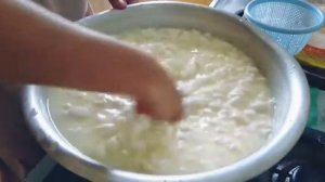 Сыр Халуми из козьего молока