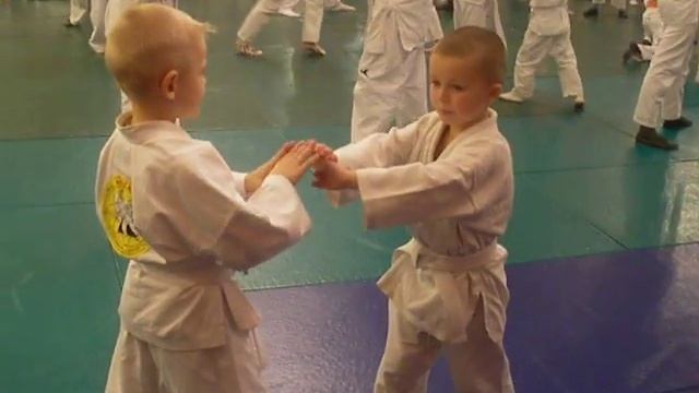 IMGP0031 смотреть онлайн