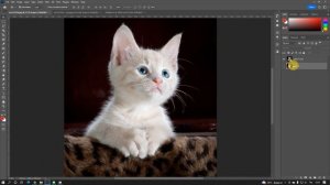 แก้ภาพไม่ชัด ภาพแตก เบลอ ขยายภาพไม่ชัด | Photoshop | IT2Tech