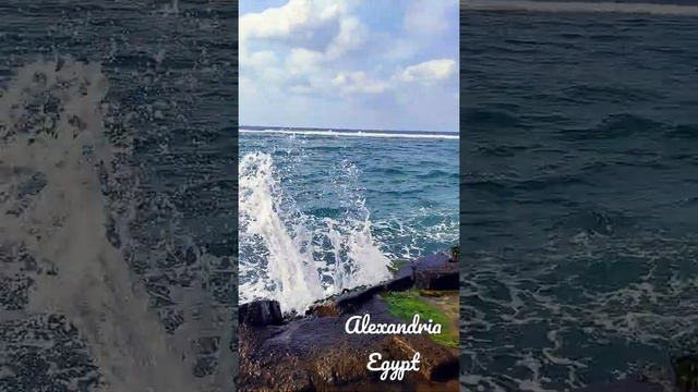 Alexandria Egypt Beach ⛱️