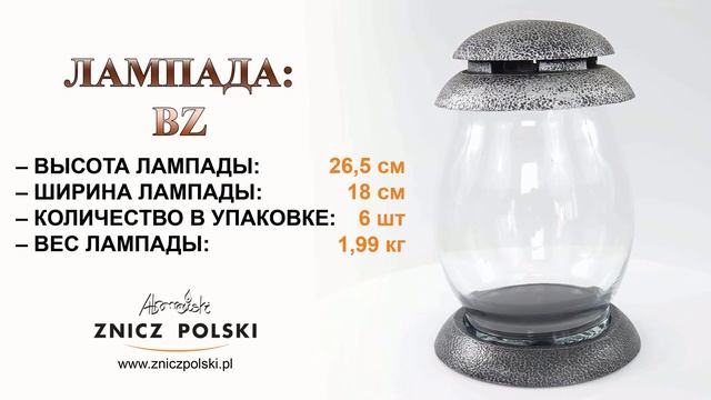 ИСКЛЮЧИТЕЛЬНО КРАСИВЫЙ ЛАМПИОН ИЗ СОЕДИНЕНИЯ ДЛЯ СЕМЕЙНЫХ ИГР BZ SILVER