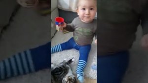 мальчик бьет кота