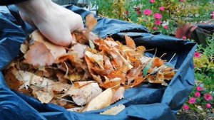 БЫСТРОЕ УДОБРЕНИЕ. КОМПОСТ ИЗ ОПАВШЕЙ ЛИСТВЫ В МЕШКАХ.