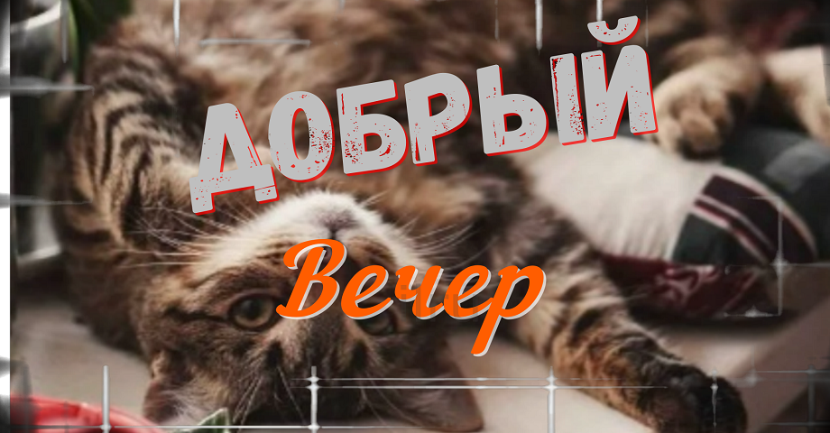 Доброго и Тихого Вечера! Красивое Пожелание!