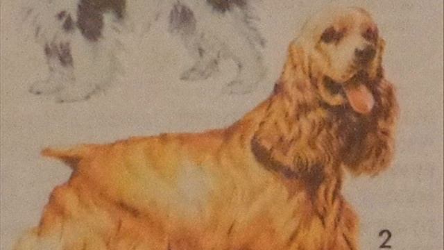 Якуб Колас. "Конь і сабака". смотреть онлайн