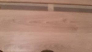 Укладываем ламинат. Ремонт своими руками.