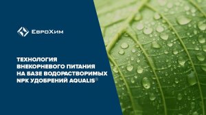 Технология внекорневого питания на базе водорастворимых NPK удобрений Aqualis