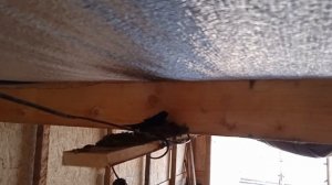 как ласточка строит гнездо...?