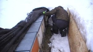 Зимовка пчел на улице без омшанника - как??