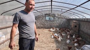 Заселяем кур в новый курятник.