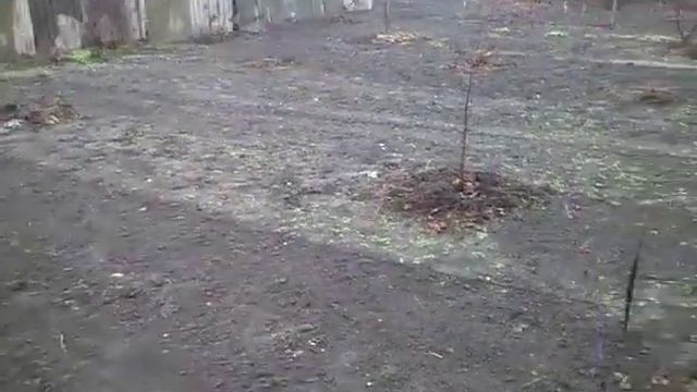 Органическое земледелие. Упрощаем жизнь