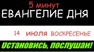 ЕВАНГЕЛИЕ  ДНЯ  (5 минут) АПОСТОЛ   14 ИЮЛЯ ВОСКРЕСЕНЬЕ 2024