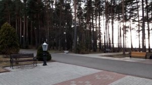 Санаторий Сосны у озера Нарочь