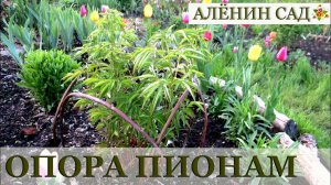 КРАСИВАЯ и ПРОСТАЯ опора для пионов своими руками в природном стиле