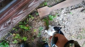 рыбалка и отдых на озере селигер в сентябре