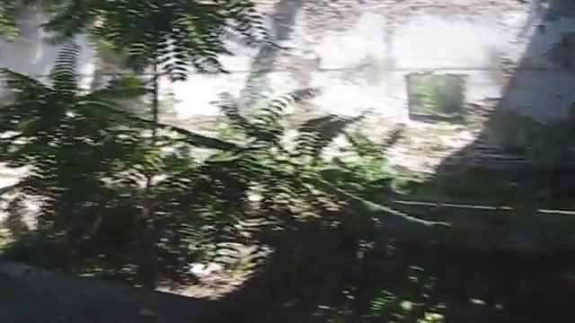 Лазертаг Одесса. Полигон 16. NETPEAK Fight ч2 смотреть онлайн