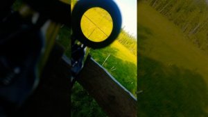 Охота на косулю с лабаза