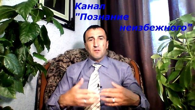 Спирея белоцветковая Вангутта. Особенности ухода и выращивания