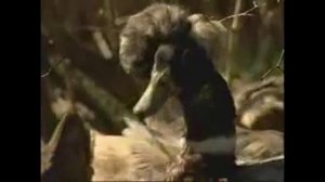 АПК Ленинградской области. Семейные фермы