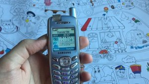 SAMSUNG X600 Современный обзор