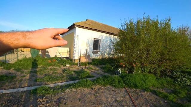 Английский Бульдог Тигра приехала домой! Наши планы обустройства территории вокруг питомника и дома смотреть онлайн