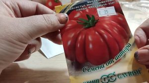 Томаты 3.Мини парник для проращивания семян.