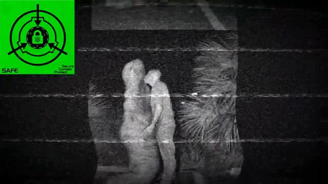 SCP- 031.   Что такое любовь?