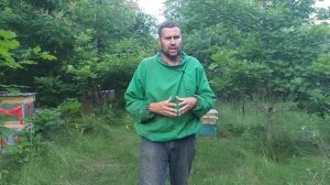 Поздние отводки пчел, на что стоит обратить внимание. Какие отводки пчёл перезимуют без проблем