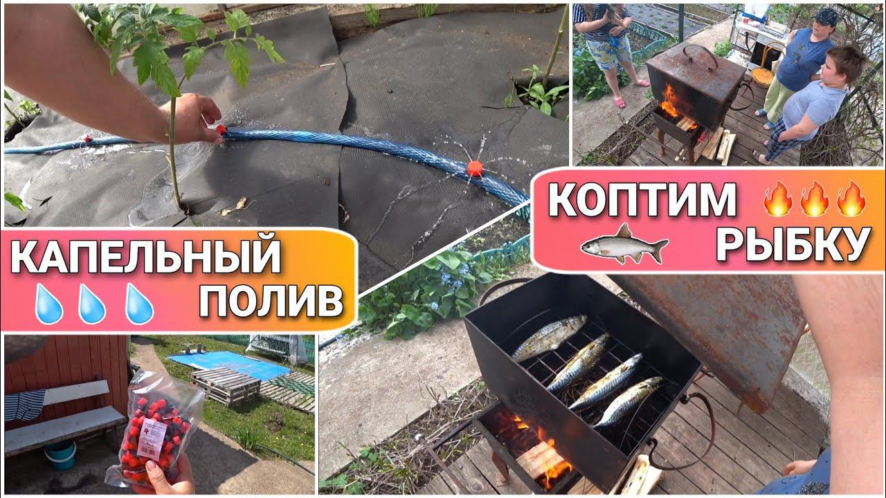 ВЛОГ! Готовим скумбрию горячего копчения/Сделал капельный полив в теплице/Коптим рыбу/Жизнь на даче!