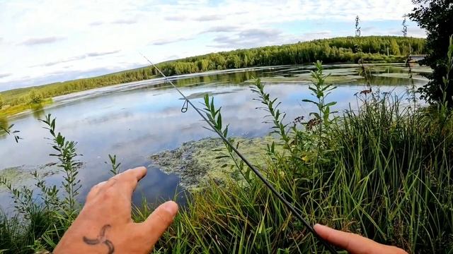 Рыбное мелководье. Активный МОРМЫШИНГ