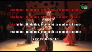 Amr Diab - Habibi Ya Nour El Ain - karaoke