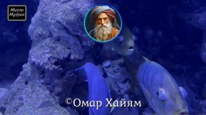 Омар Хайям и его Запрещенные цитаты, Путь к прозрению и смыслу жизни!