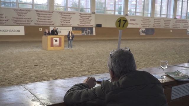 XVIII Ежегодный аукцион лошадей орловской рысистой породы на Московском конном заводе № 1 смотреть онлайн