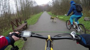 Воскресная тренировка, Кожухово, 17.11.19