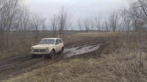 Нива на вли-5