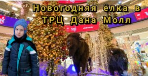 Сказочная новогодняя ёлка в ТЦ Дана Молл. DANA MALL. Устин в новогоднем лесу.