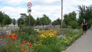 Пёстрая Воронцовка часть 4