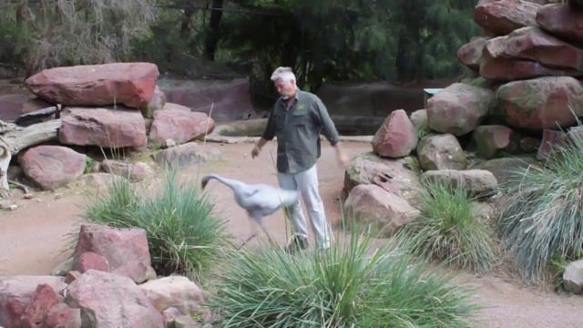 Алёна в парке рептилий смотреть онлайн