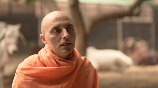 Гопаштами — день когда Кришна начинает пасти коров, а Радхарани переодевается пастушком. смотреть онлайн