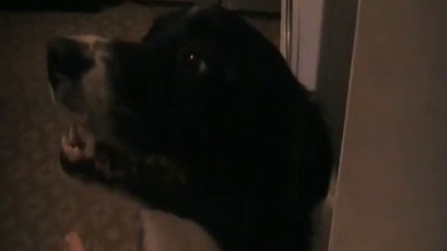 Лето в Тюмени 2011 смотреть онлайн