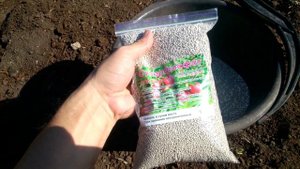 Суперфосфат Вносим  Осенью Под ЧЕСНОК !