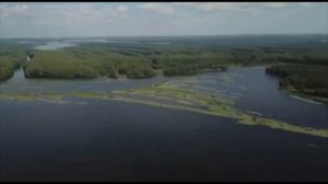 Река Волга с высоты птичьего полёта